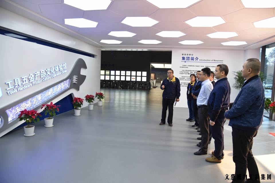 DSC_1731.JPG 威力工具集团“引智强企”企业诊断大会正式启动(图4)