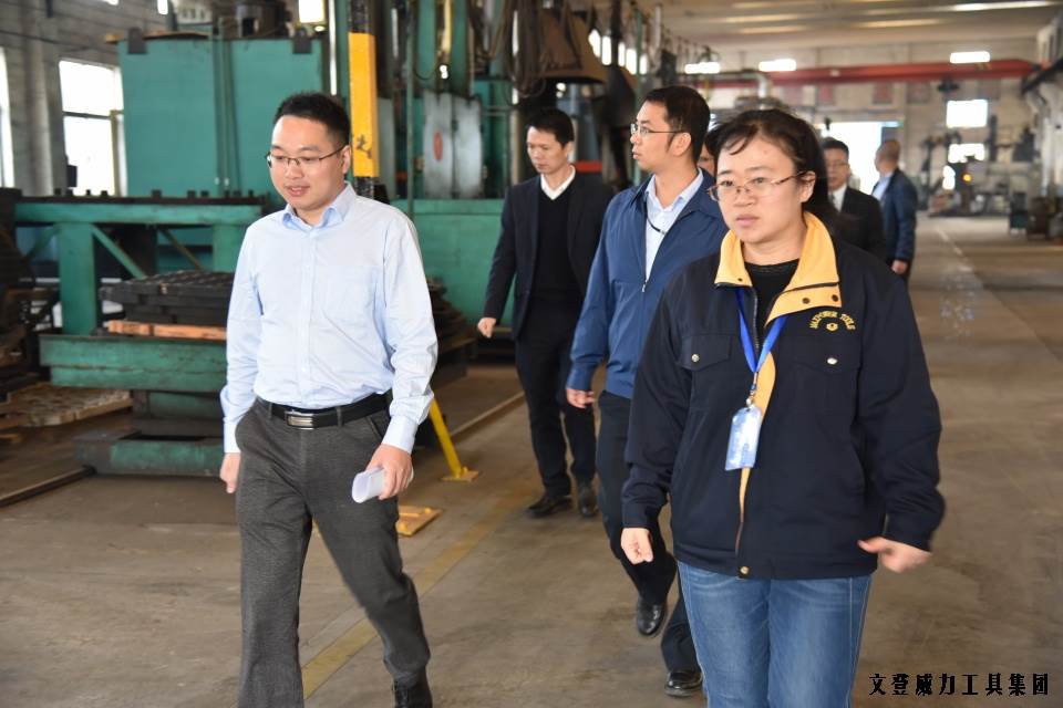 DSC_1796.JPG 威力工具集团“引智强企”企业诊断大会正式启动(图7)