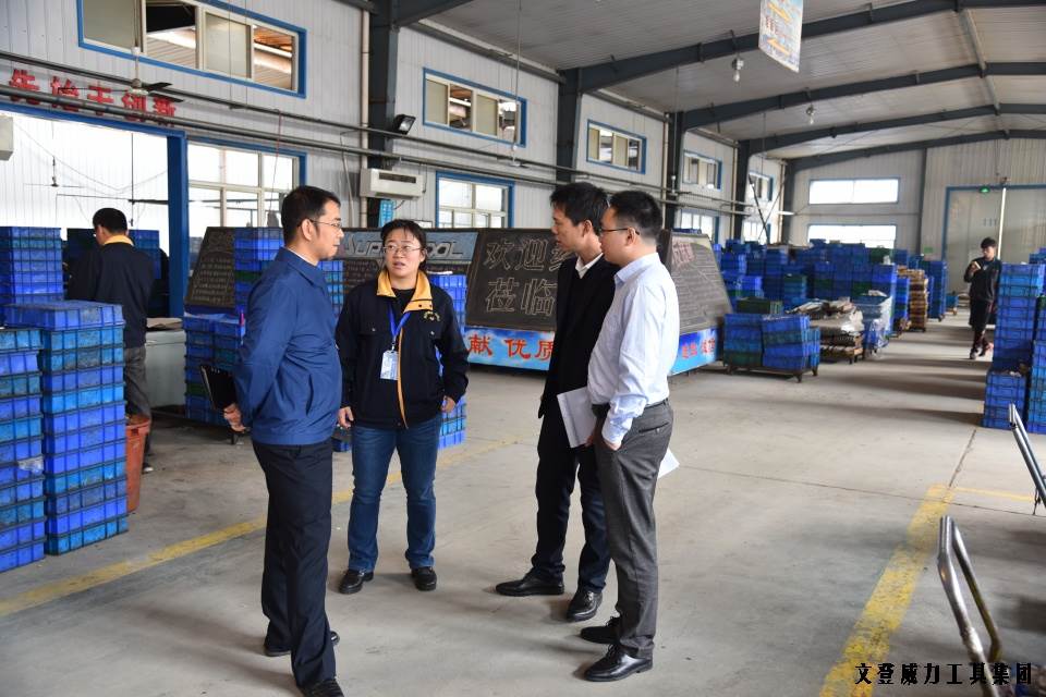 DSC_1800.JPG 威力工具集团“引智强企”企业诊断大会正式启动(图9)
